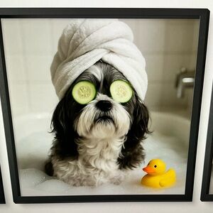 Thank you for visiting. Your Purchase supports us Rescued Dogs.